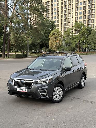 forester: Subaru Forester: 2020 г., 2.5 л, Вариатор, Бензин, Внедорожник — 1