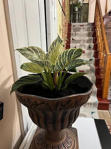 Посуточная аренда комнат: 40 м², С мебелью — 13