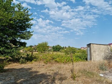 Torpaq sahələrinin satışı: 34 sot, Mülkiyyətçi, Kupça (Çıxarış), Bələdiyyə — 12