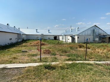 Torpaq sahələrinin satışı: Kənd təsərrüfatı, Mülkiyyətçi, Bələdiyyə, Kupça (Çıxarış) — 11