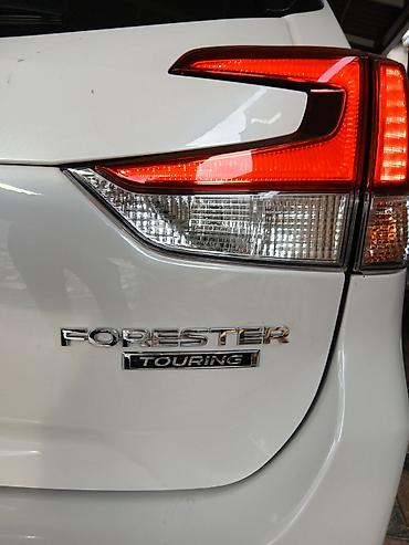 Subaru: Subaru Forester: 2020 г., Вариатор, Кроссовер — 6