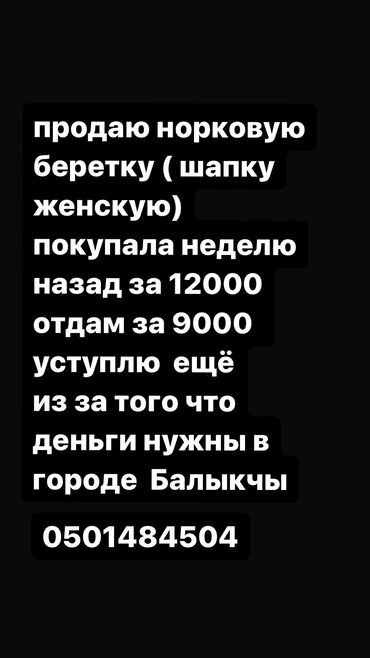 одежда большого размера: Шапка, Беретка, Норка, Зима