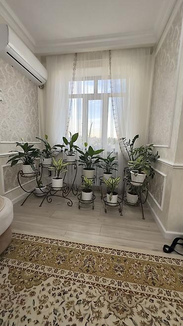 Продажа коттеджей и домов: ✨ ЭКСКЛЮЗИВНОЕ ПРЕДЛОЖЕНИЕ | КОК-ЖАР 🏡 Продаётся статусный особняк на — 17