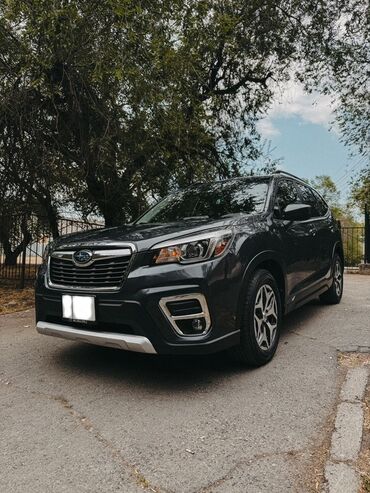 субару форестир: Subaru Forester: 2020 г., 2.5 л, Вариатор, Бензин, Кроссовер
