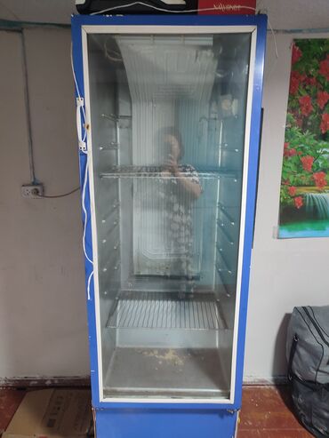 Техника жана электроника: Тоңдургуч, Колдонулган, Өзү алып кетүү