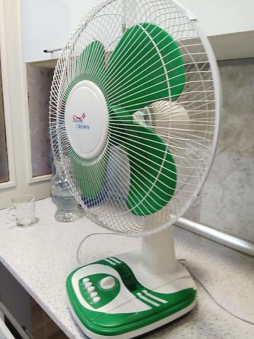 ventilator: Stolüstü ventilyator – Shape Crown - Rəng: yaşıl-ağ - Tip: elektrikli — 2