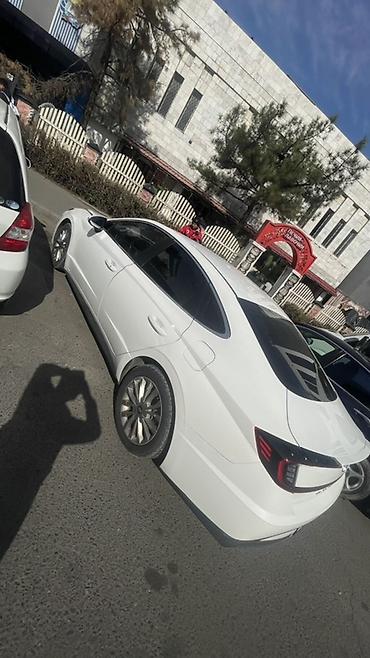sonata uf: Hyundai Sonata: 2020 г., 2 л, Автомат, Газ, Седан — 4