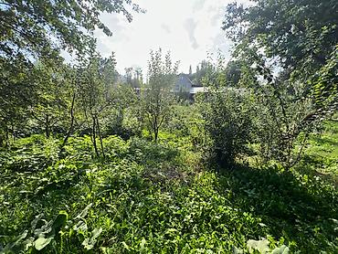 Продажа коттеджей и домов: Продаётся дом с огромным участком (35 сот) с. Прохладное возле — 14