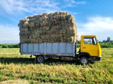 грузовые ман: Грузовик, Mercedes-Benz, Стандарт, 6 т, Б/у