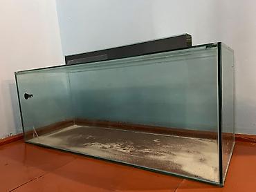 balığ: Dördbucaq akvarium, Balıqlarla birlikdə, 145 l — 1