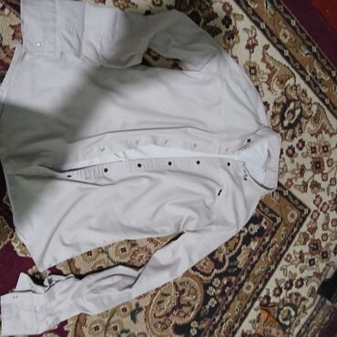 байковые рубашки мужские: Рубашка 2XL (EU 44), цвет - Бежевый