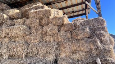 Корма для с/х животных: Сено в тюках - Формат: прямоугольные тюки, плотная перевязка — 3