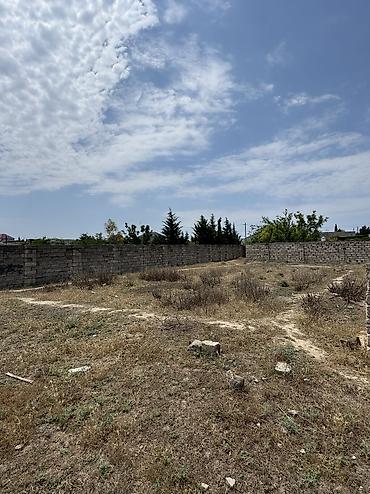 samaxida torpaq sahesi satilir: 4 sot, Tikinti, Mülkiyyətçi, Kupça (Çıxarış) — 6