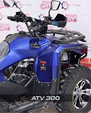 Квадроциклы: Квадроцикл Бензин, 320 куб. см, Взрослый — 9