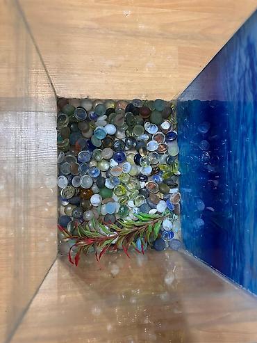 akvarium satışı: Dördbucaq akvarium, 10 l, Ünvandan götürmə, Ödənişli çatdırılma — 2