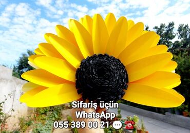 Digər ev dekoru: Şəkilləri çevirin zəhmət olmasa. Ev - məkan dekoru. Yeni model — 4