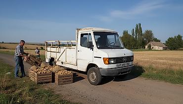 ом 615: Mercedes-Benz T1: 1989 г., 2.4 л, Механика, Дизель, Бус — 1