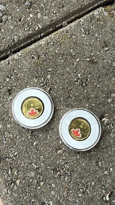 Fifa word cup coins