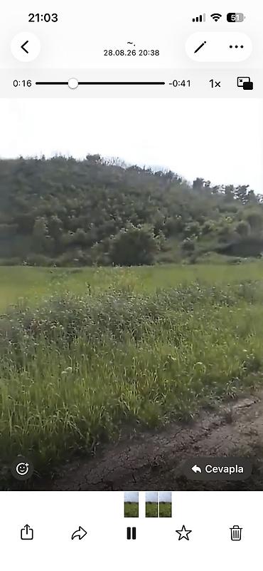 quba rayonu: Quba seherinin deveci rayonu Zeyve kendi Devecinin alt yaninda 1hektar — 7