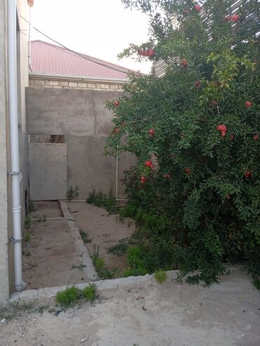 Həyət evləri və villaların satışı: 4 otaqlı, 2000 kv. m, Kredit yoxdur, Orta təmir -da lalafo.az — 2 Həyət evləri və villaların satışı: 4 otaqlı, 2000 kv. m, Kredit yoxdur, Orta təmir — 2