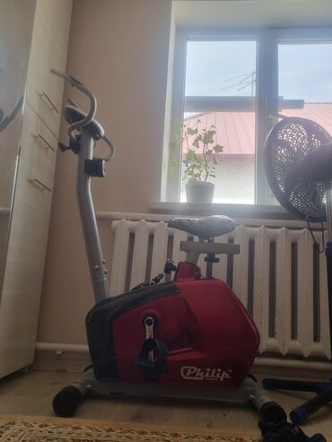 электросамокат бишкек прокат цена: Велотренажёр Philip Fitness (домашний) Магнитный велотренажёр с