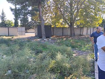 kirayə ev 20 ci sahə: 42 sot, Biznes üçün, Makler, Kupça (Çıxarış) — 3