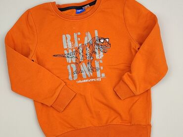 Sweatshirt, Lupilu, 5-6 years, 110-116 cm, condition - Very good