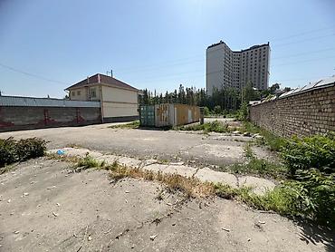 ош рынак: 5 соток, Для строительства, Договор купли-продажи, Красная книга, Тех паспорт — 1