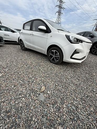 Changan: Changan Benni: 2024 г., Электромобиль, Хэтчбэк — 7