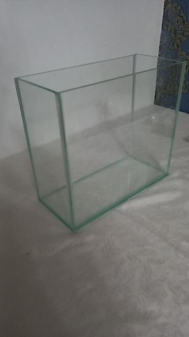 Akvariumlar: Salam istənilən ölçüdə akvarium və terariumlar yığıram nömrədə vhatsap — 9