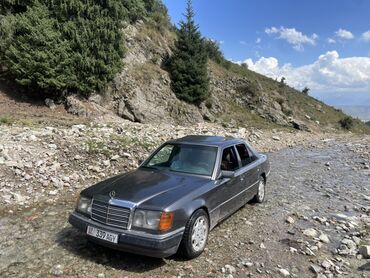 Mercedes-Benz: Mercedes-Benz W124: 1992 г.