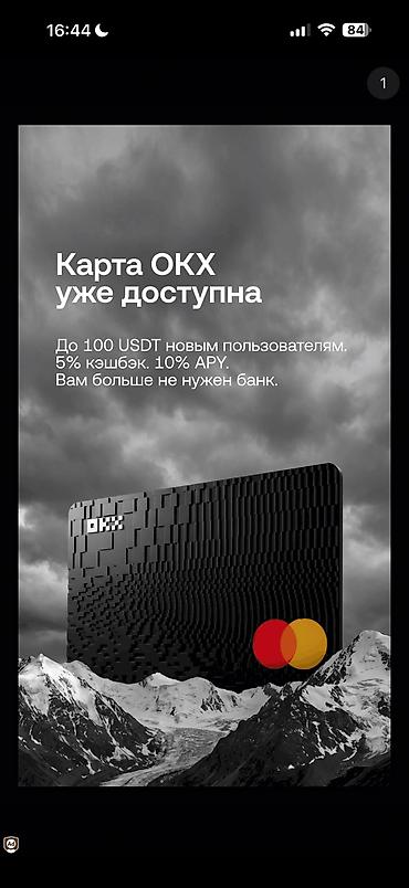 купить собаку в: Шпиц, 1 год, Самка, С родословной, Самовывоз, Бесплатная доставка, Платная доставка — 3