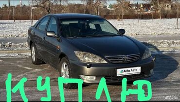 тойота камри 2004: Toyota Camry: 2004 г., 2.4 л, Автомат, Бензин, Седан