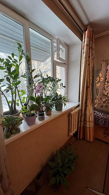 Продажа комнат: 19 м², С мебелью — 1