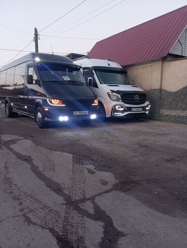 Трансфер, пассажирские перевозки: Бус — 11