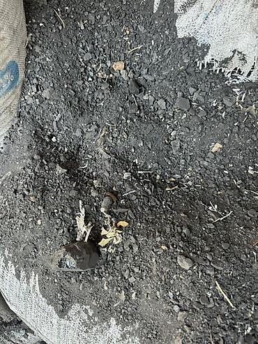 дрова в мешках бишкек: Кара жыра комуру майдасы — 1