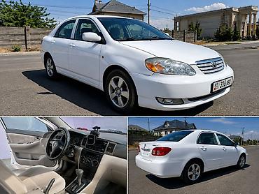 honda corolla: Toyota Corolla: 2007 г., 1.7 л, Автомат, Бензин, Седан — 3