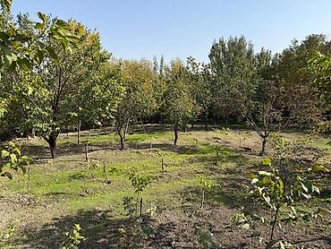 Продажа коттеджей и домов: 🔥 Отличный дом + фундамент под 2 дом + большой участок! Рядом с — 6