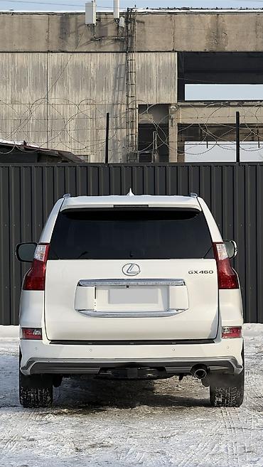 Lexus: Lexus GX: 2019 г., 4.6 л, Автомат, Бензин, Внедорожник — 7