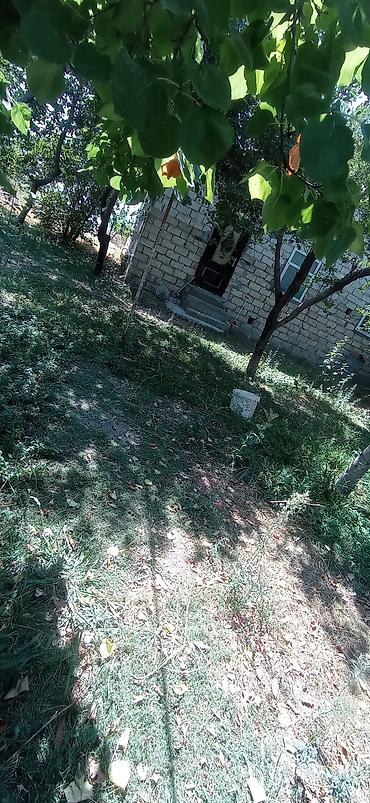 Torpaq sahələrinin satışı: 14 sot, Biznes üçün, Mülkiyyətçi, Kupça (Çıxarış) -da lalafo.az — 8 Torpaq sahələrinin satışı: 14 sot, Biznes üçün, Mülkiyyətçi, Kupça (Çıxarış) — 8