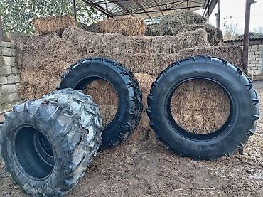 kask satin al: Məhsul: Kənd təsərrüfatı texnikası üçün traktor şinləri - Növ — 3