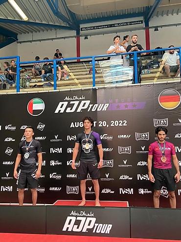 Toyota: Toyota RAV4: 2017 г., 2.5 л, Автомат, Бензин, Кроссовер — 9