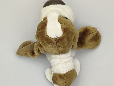 czapka piesek: Mascot Dog, condition - Very good