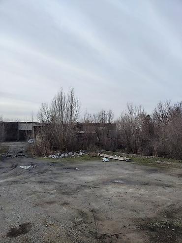 Продажа участков: 100 соток — 4