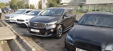 киа seltos: Kia Sorento: 2019 г., 2.2 л, Автомат, Кроссовер — 1