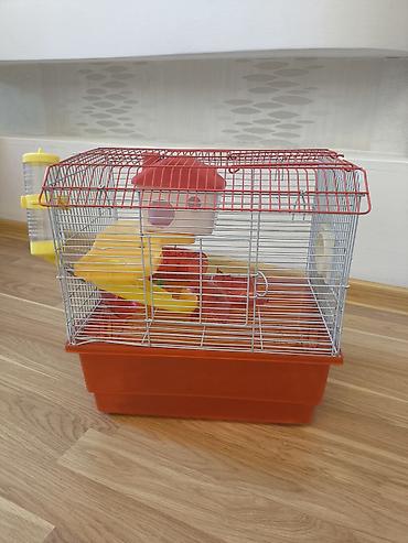 hamster near me: Ev siçanı(xomyak) üçün işlənmiş qab. Su qabi, evi və piləknları — 6