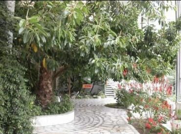 Иссык-Куль 2025: Квартира, ЦО Кыргызское взморье, Бостери, Детская площадка, Парковка, стоянка, Охраняемая территория at lalafo.kg — 16 Иссык-Куль 2025: Квартира, ЦО Кыргызское взморье, Бостери, Детская площадка, Парковка, стоянка, Охраняемая территория — 16