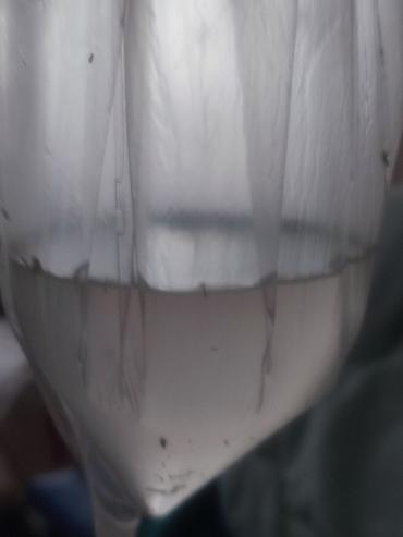 Массаж: Массаж — 8