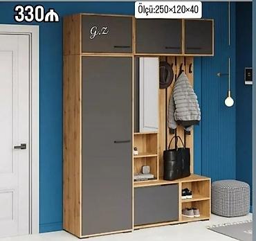 siyirmeli skaf: Dəhliz üçün çoxfunksiyalı dolab dəsti. Ölçü: 250×120×40 sm — 1