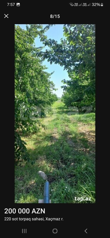 Torpaq sahələrinin satışı: Maklerlər narahat etməsin — 7